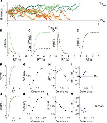 Different Forms of Variability Could Explain a Difference Between Human and Rat Decision Making